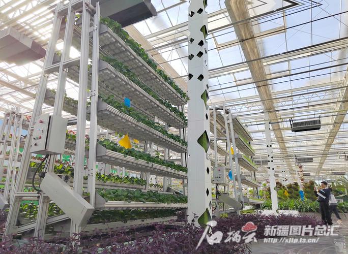 呼和浩特建筑钢结构_呼和浩特市钢结构加工厂_呼和浩特钢结构工程施工