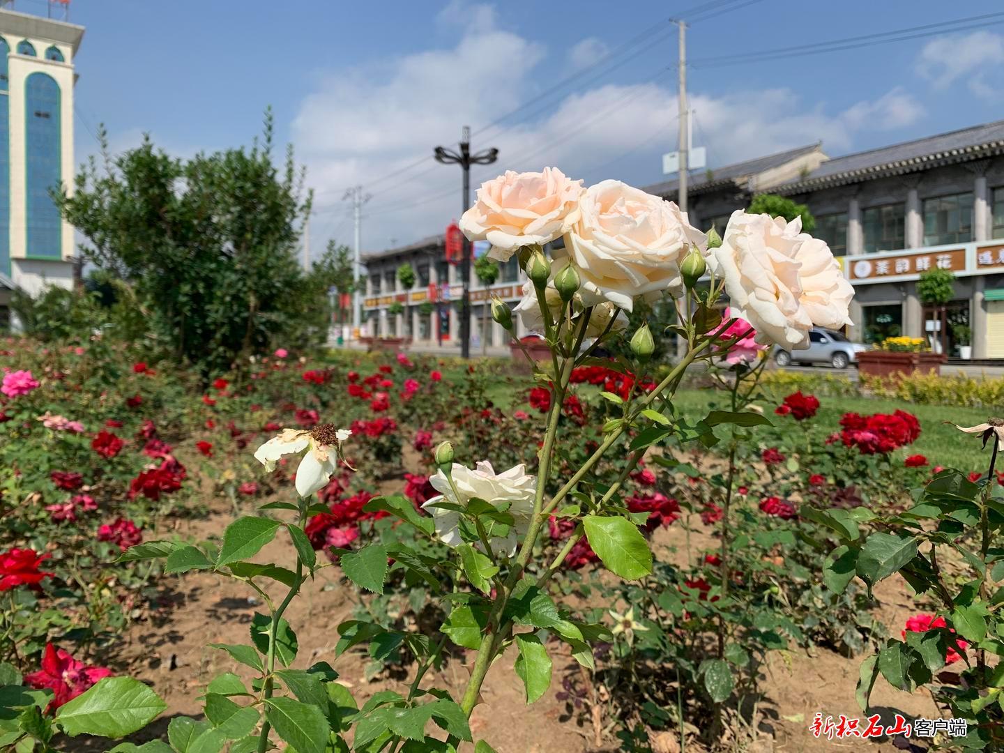 县城开家彩钢房建设_建彩钢房需要资质吗_搭建一间彩钢房大概要多少钱