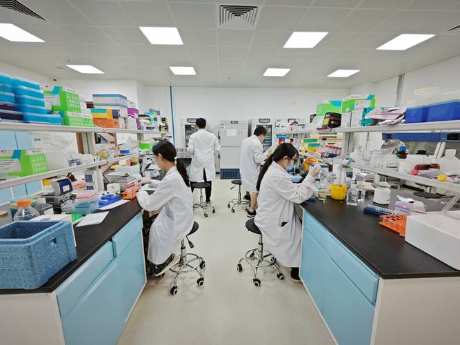 宁波钢结构涂料_宁波钢结构刷涂料包工包料价格_浙江钢结构刷涂料施工