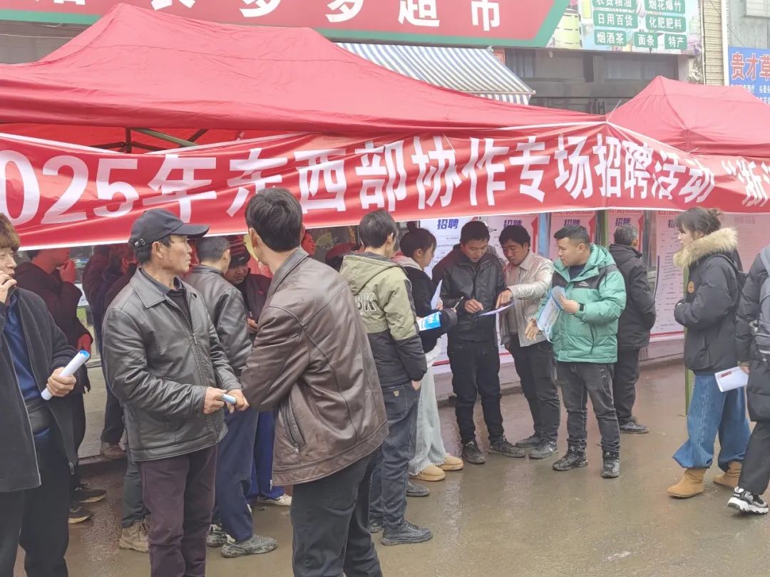 景宁求职_景宁招聘会_景宁招聘网最新招聘