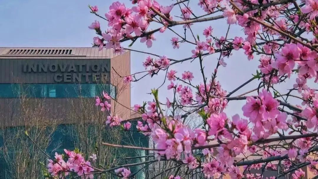 招聘 天津光华剑桥高级中学2024年招生简章：创新教育与双轨课程模式详解