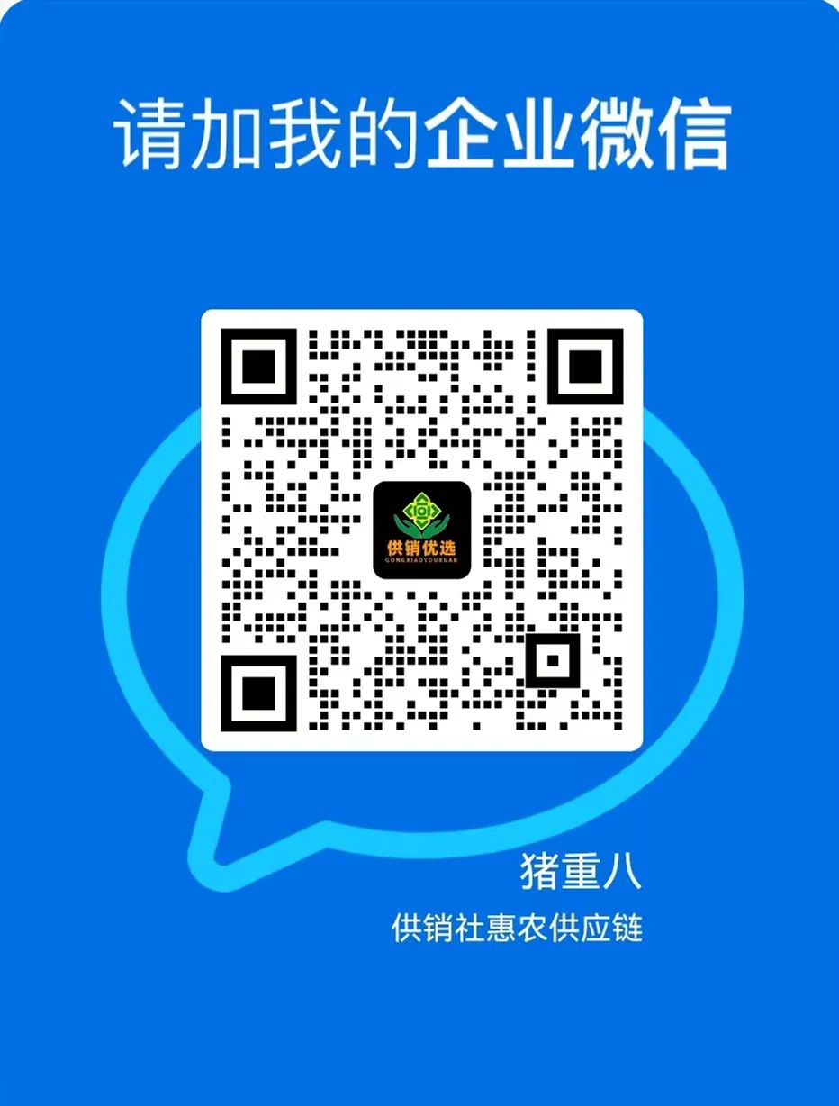 招聘_招聘网_招聘网boss直聘