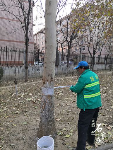 搭建彩钢板房价格_保定彩钢房厂家_保定彩钢房搭建