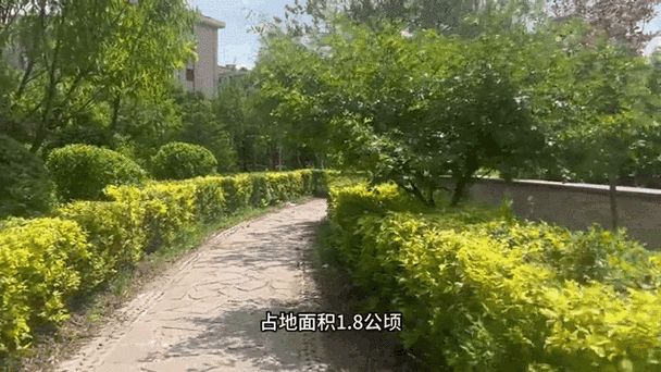 长春钢结构公司排名_长春钢结构公司_长春钢结构厂家