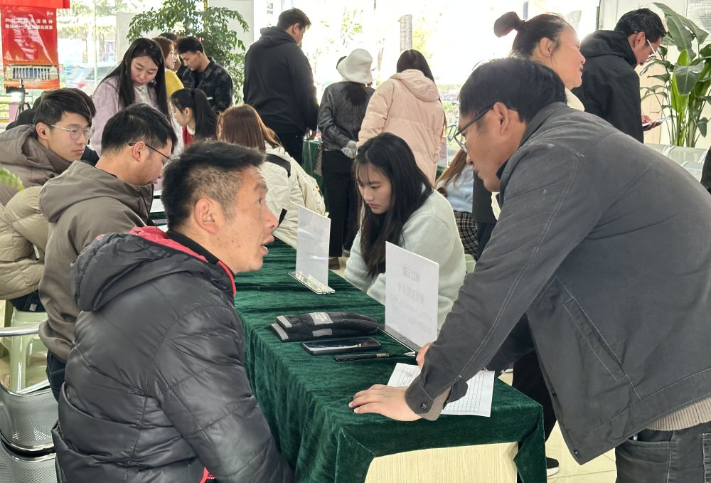 丽水求职_丽水求职去哪里_丽水求职信息查询