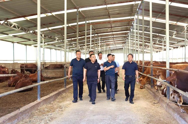 常州钢结构有限公司介绍_常州钢结构有限公司_常州钢结构公司有哪些