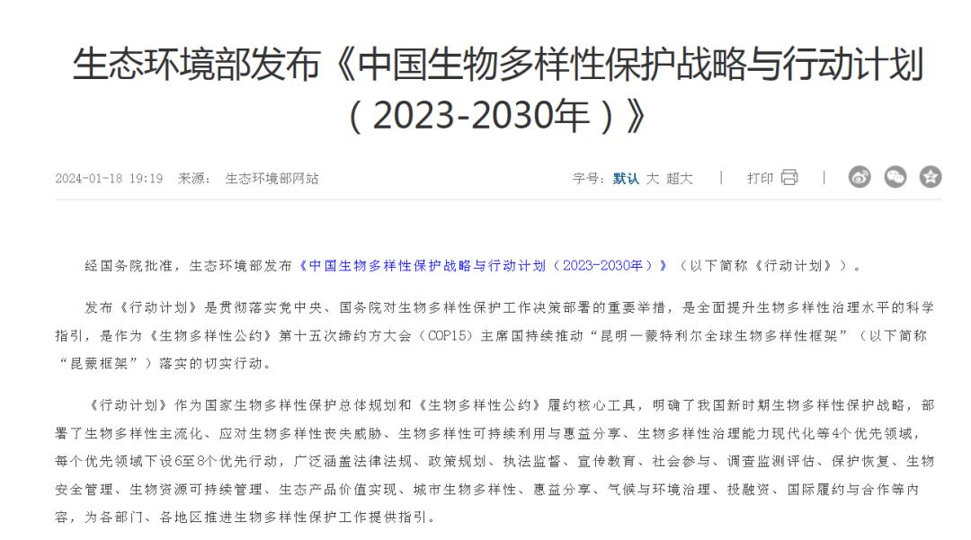 _世界上最温情的动物，再一次扛着自己孩子的尸体在海上游荡_世界上最温情的动物，再一次扛着自己孩子的尸体在海上游荡