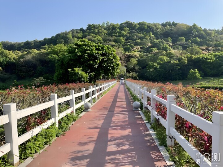 零元游广州南沙：打卡十大免费景点的宝藏之旅_新浪众测