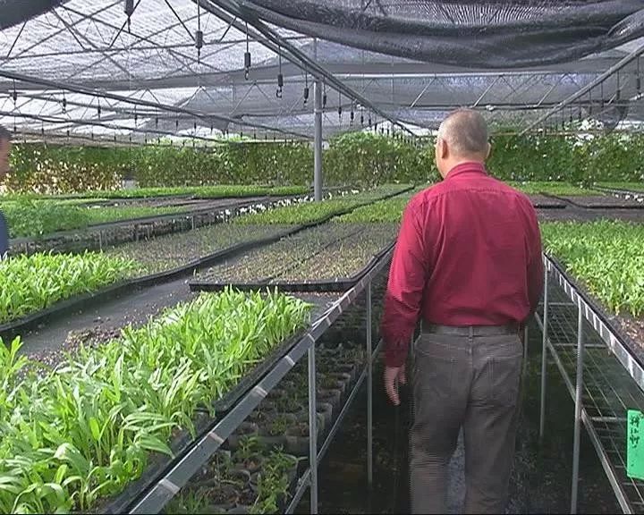 无土栽培蔬菜骗局_蔬菜无土栽培加盟_无土栽培蔬菜投资骗局