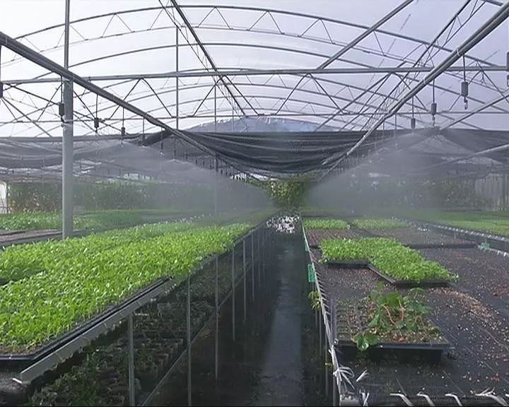 无土栽培蔬菜骗局_蔬菜无土栽培加盟_无土栽培蔬菜投资骗局