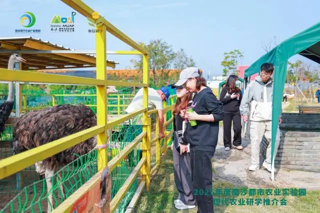招聘58同城找工作_招聘_招聘网站哪个最好找工作