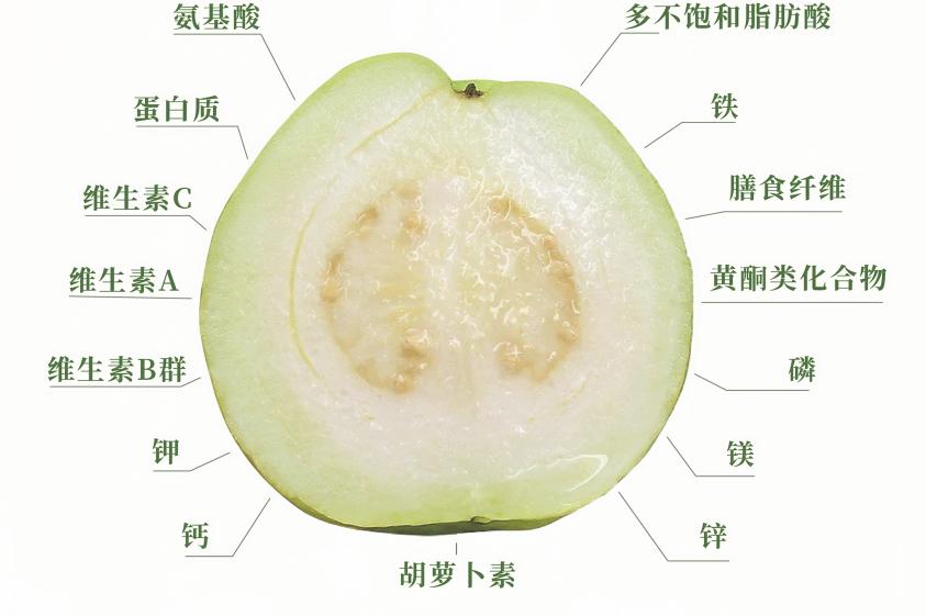 招聘58同城找工作_招聘_招聘网站哪个最好找工作