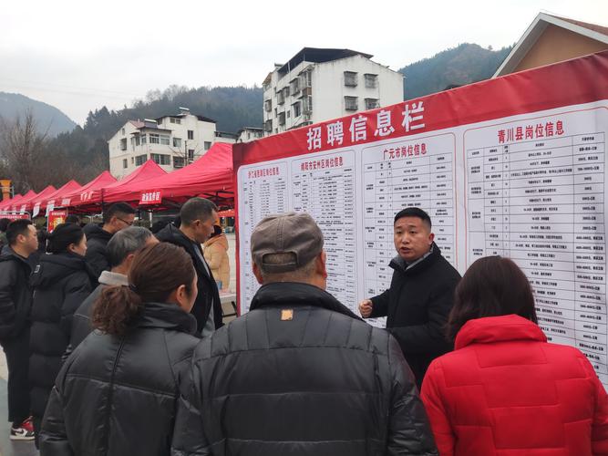 麦积区东西部协作招聘公告