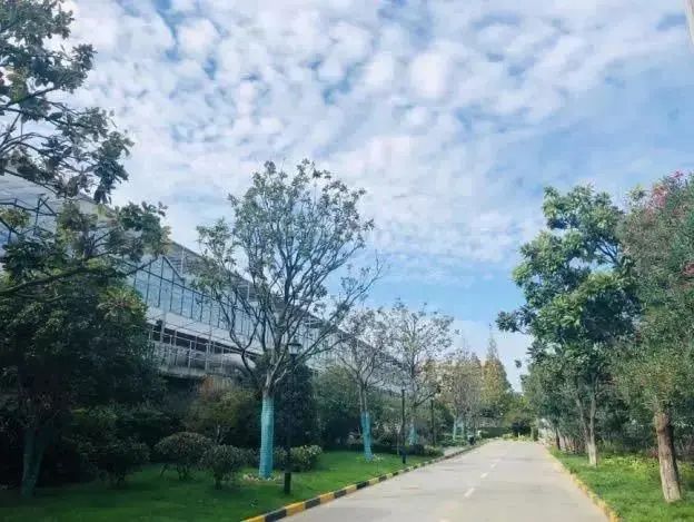 上海哪个地方收废钢的多_上海废钢铁回收价格_上海宝山区废钢回收
