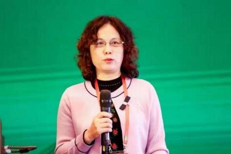 中国钢结构协会桥梁钢结构分会_中国钢结构协会理事_中国钢结构协会年会