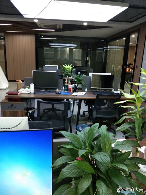 过度加班劳动法_过度加班光明日报_