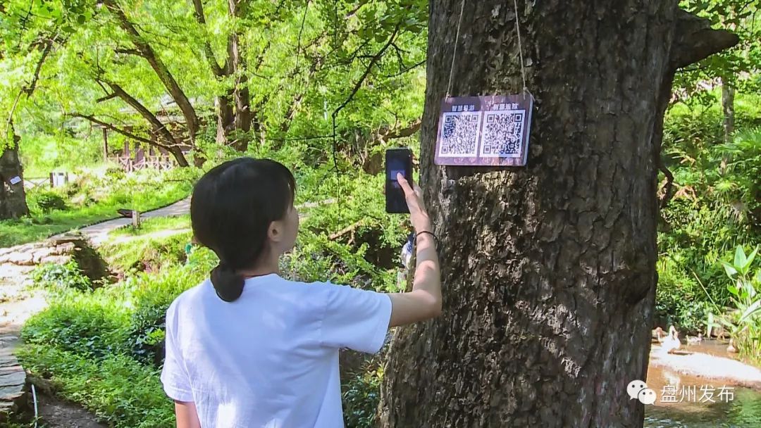 导游软件手机好用吗_导游专用软件_手机导游软件哪个好