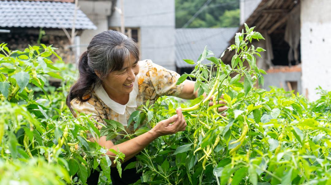 景宁招聘网最新招聘_景宁招聘会_景宁招聘