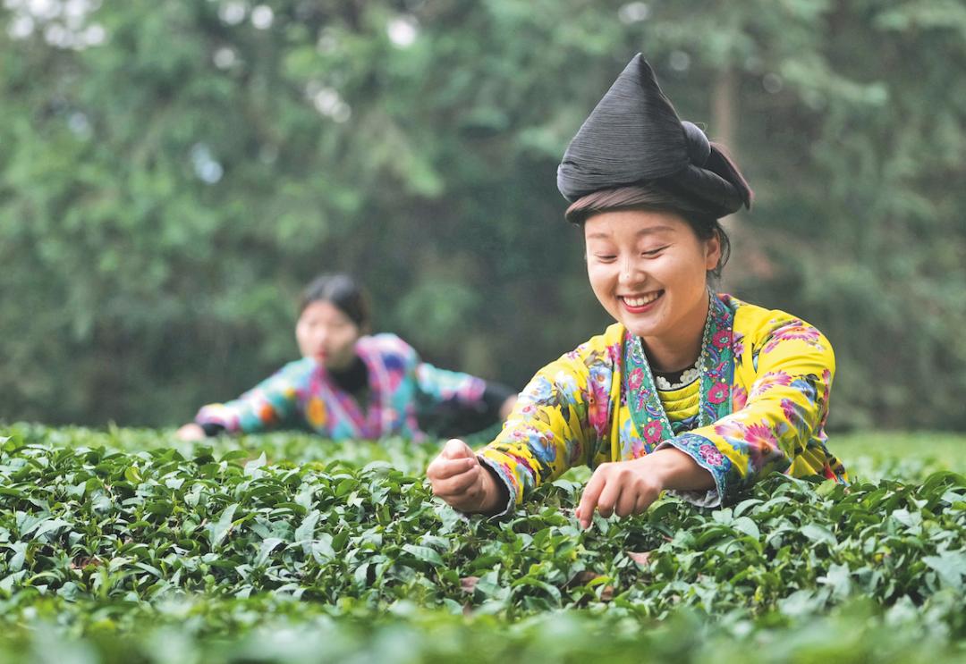 景宁招聘会_景宁招聘网最新招聘_景宁招聘