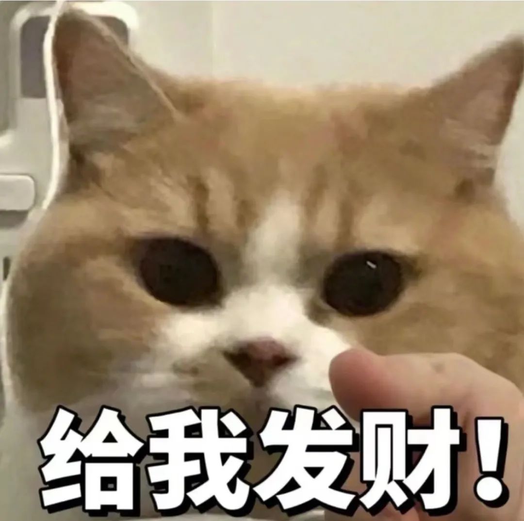 招人平台_招人_招人在哪个网站比较好找