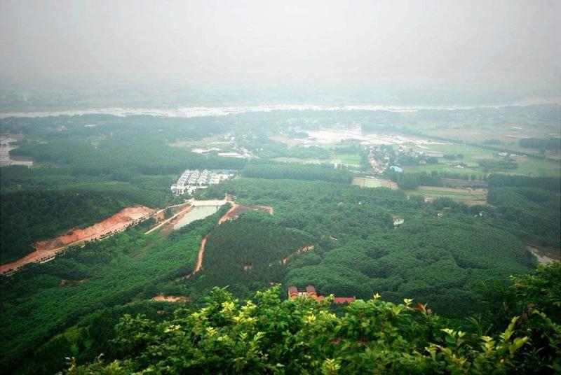 芜湖滨江山庄是哪一年建好的_芜湖滨江山庄_芜湖市滨江山庄属于哪个区