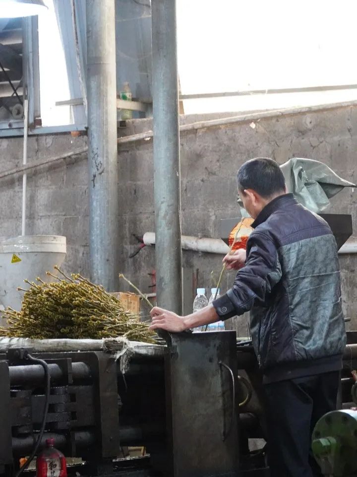 招人_招人去哪个平台_招人平台