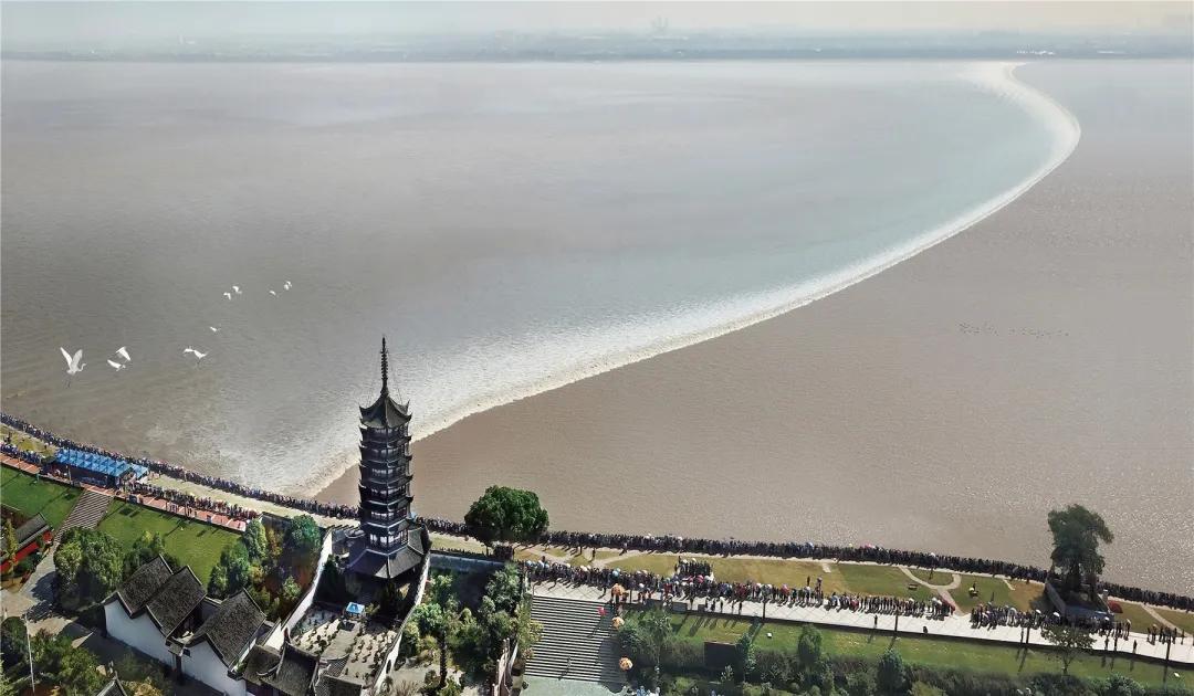 遂昌兼职_遂昌临时工招聘信息_遂昌暑假工兼职招聘