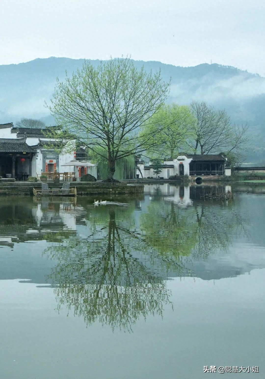 芜湖美食团_芜湖美食_芜湖打卡美食