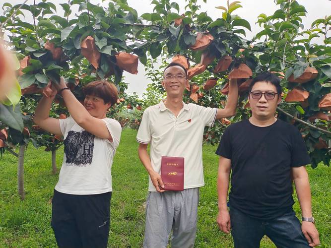 钢结构棚架高清图片_钢结构棚架图纸_钢结构棚架