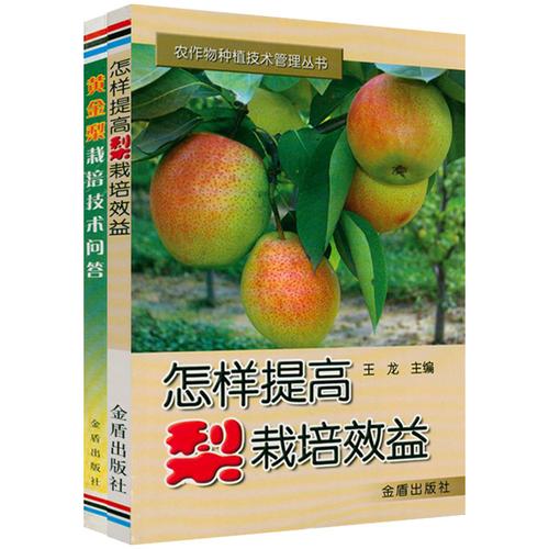 钢结构棚架_钢结构棚架高清图片_钢结构棚架图纸