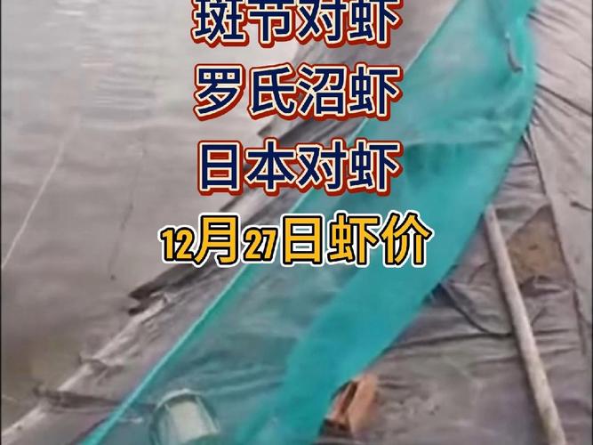 合肥批发市场便宜点的_合肥哪个批发市场最大_合肥最便宜的批发市场