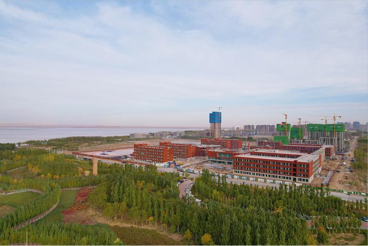 乌海钢结构工程公司_青海钢结构加工方案_乌海钢结构