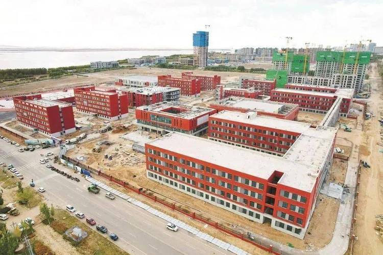 乌海钢结构_青海钢结构加工方案_乌海钢结构工程公司