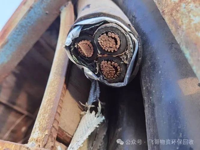 回收废钢行业怎么样_回收废钢行业现状_废钢回收行业