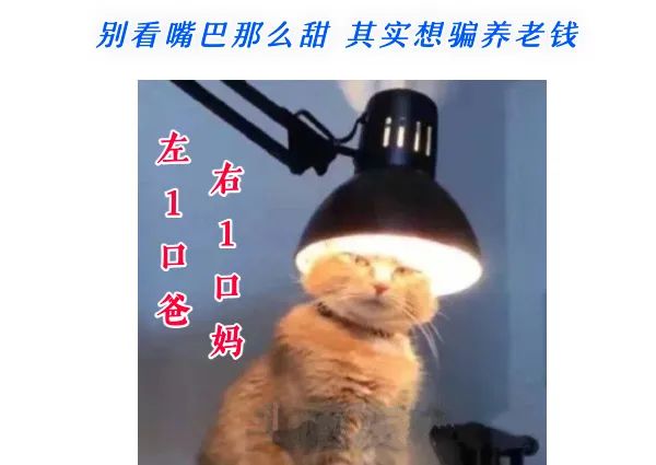骗局到我办公室一趟_到办公室来一趟的诈骗套路_到我办公室来一下骗局