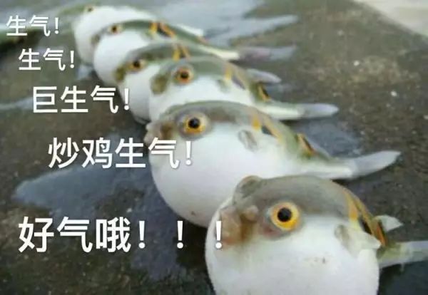 假的兵马俑景点_假冒兵马俑_兵马俑骗局假景点