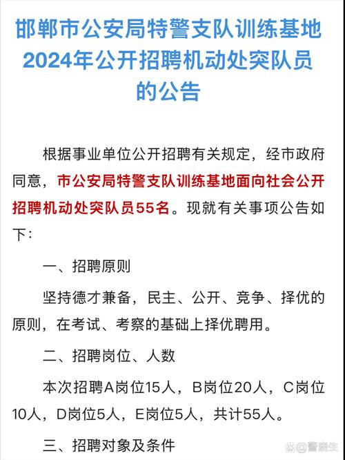 招聘，2025年昭通市鲁甸县公安局招聘48人