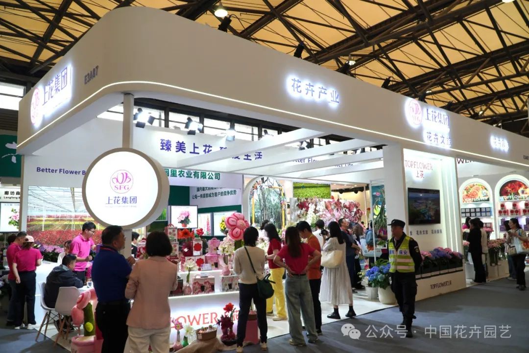 展会2025年展览会_展会总结_展会