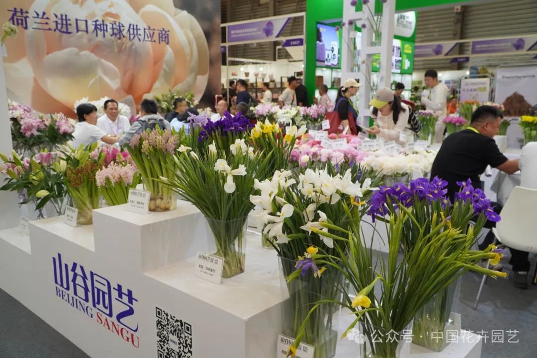 展会_展会总结_展会2025年展览会