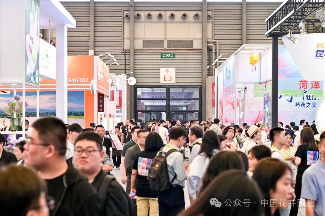 展会_展会2025年展览会_展会总结