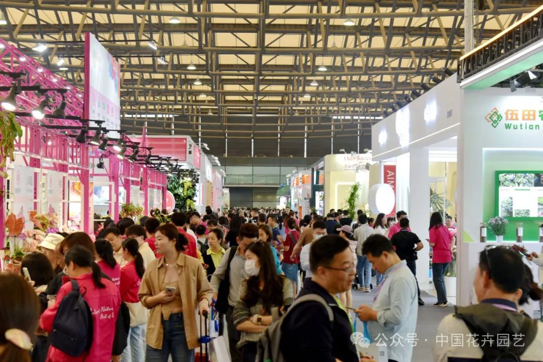 展会_展会总结_展会2025年展览会