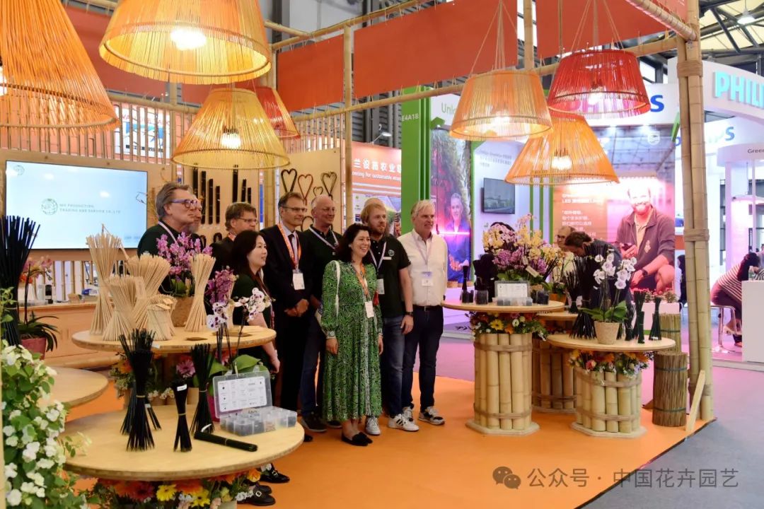 展会_展会2025年展览会_展会总结