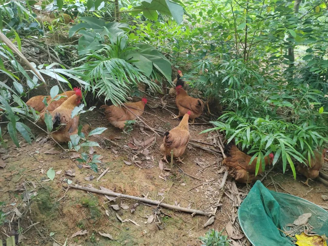 废铝多少钱一斤_废铝多少钱一斤_废铝多少钱一斤