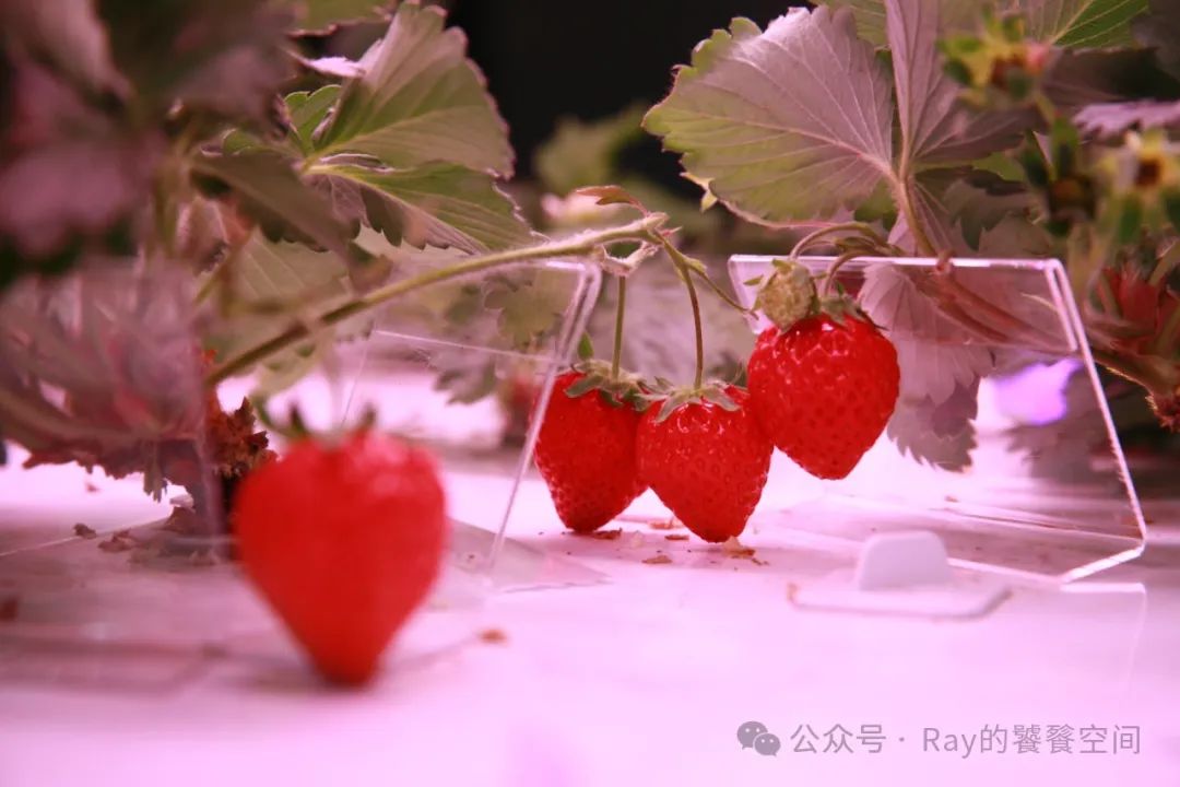 展会展厅布局_展会设计_展会