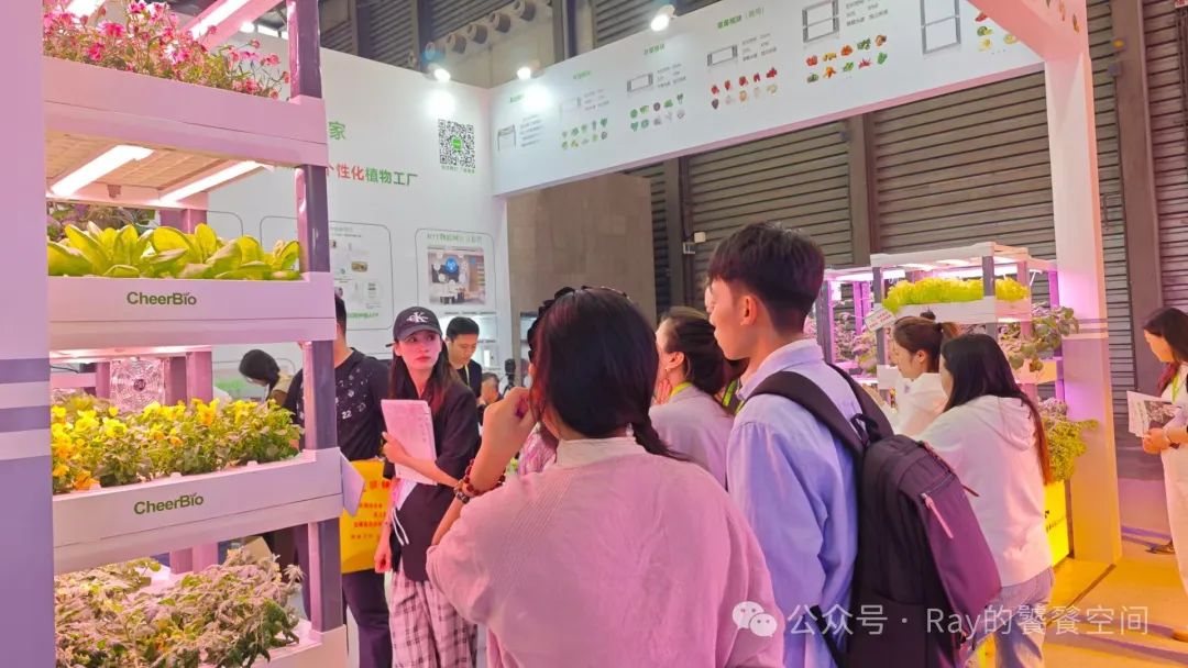 展会_展会展厅布局_展会设计