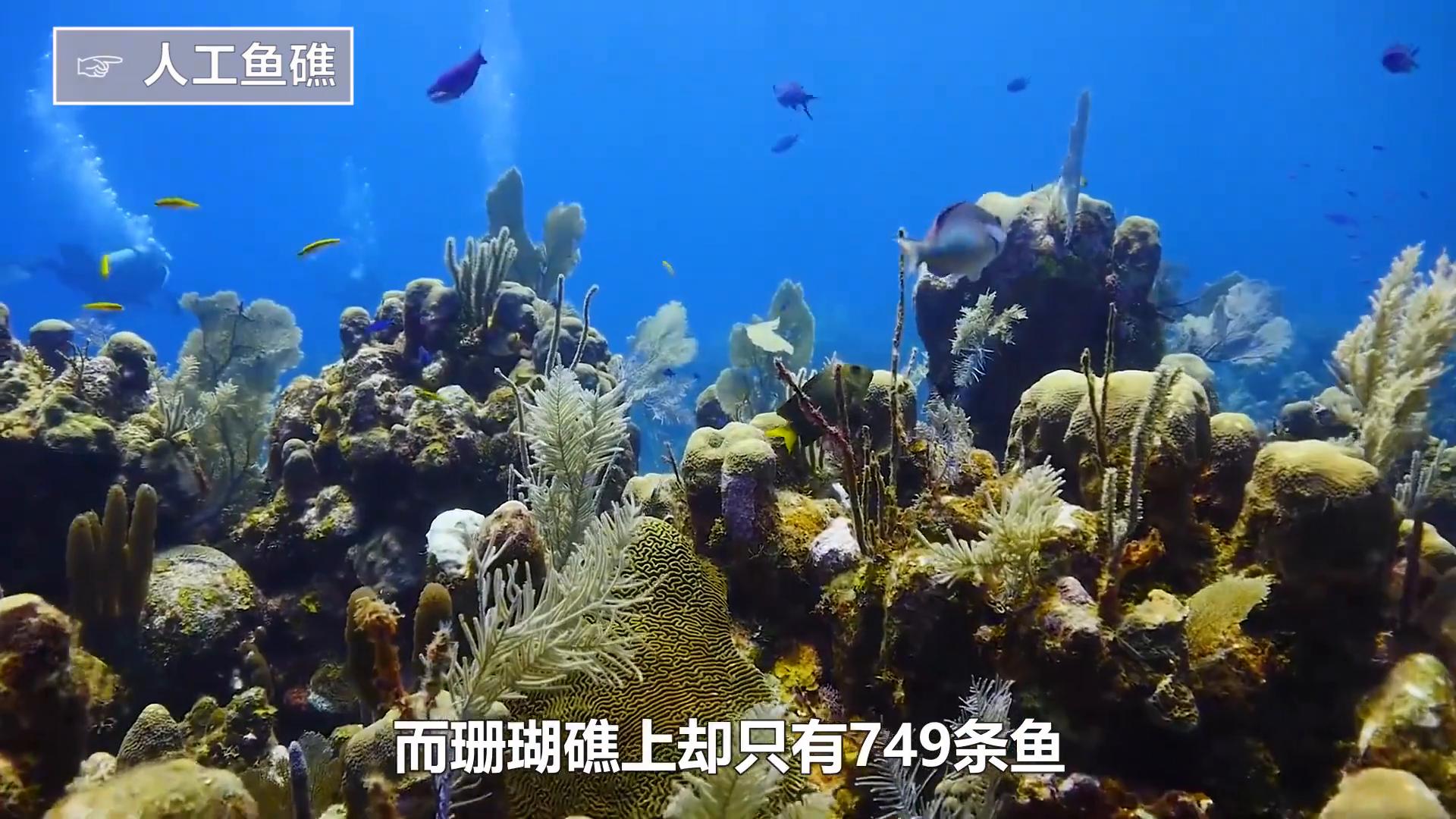 回收废钢废铁需要办理哪些手续_废铁回收废钢回收_回收废钢废铁能赚钱吗
