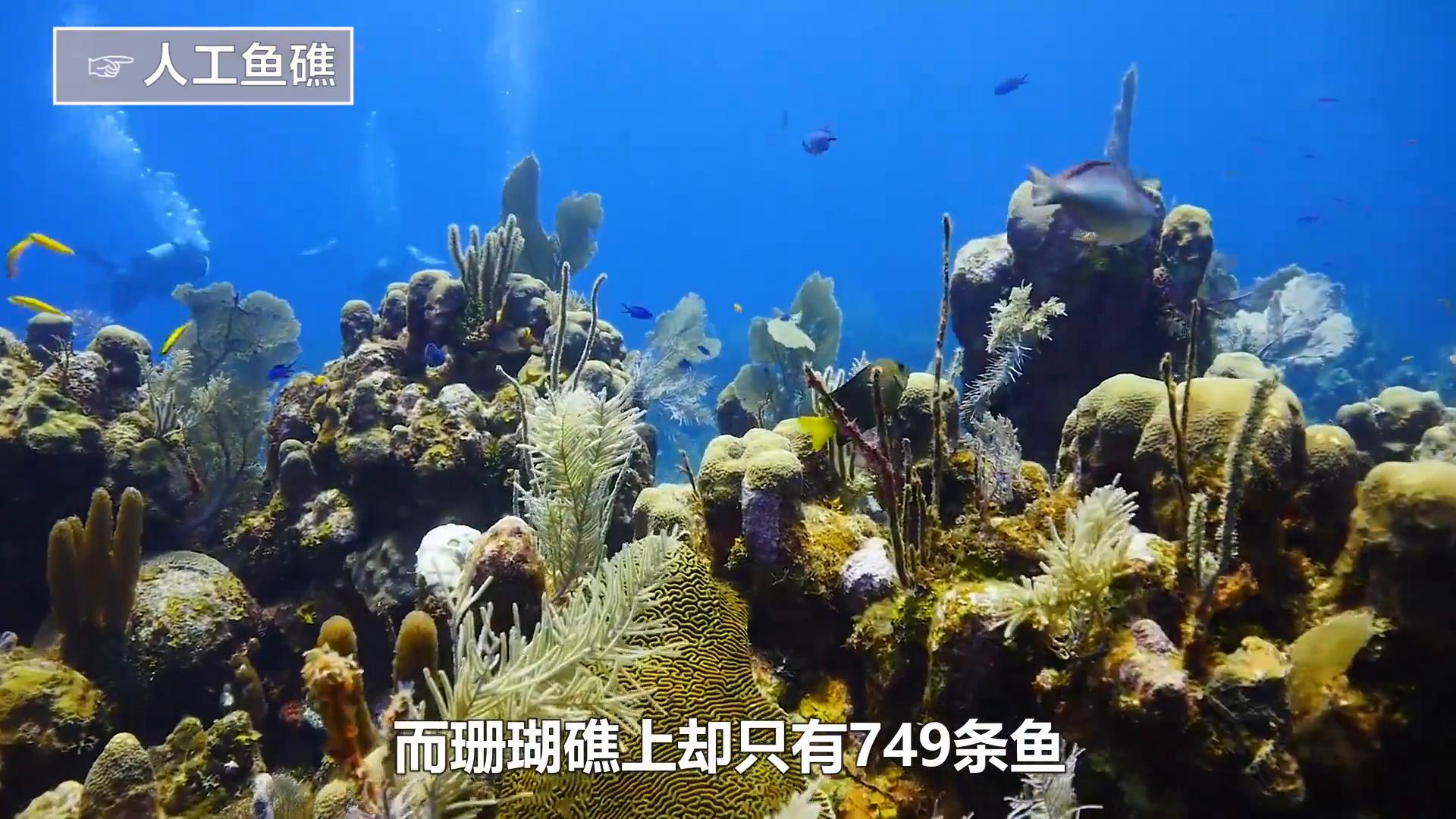 回收废钢废铁能赚钱吗_废铁回收废钢回收_回收废钢废铁需要办理哪些手续
