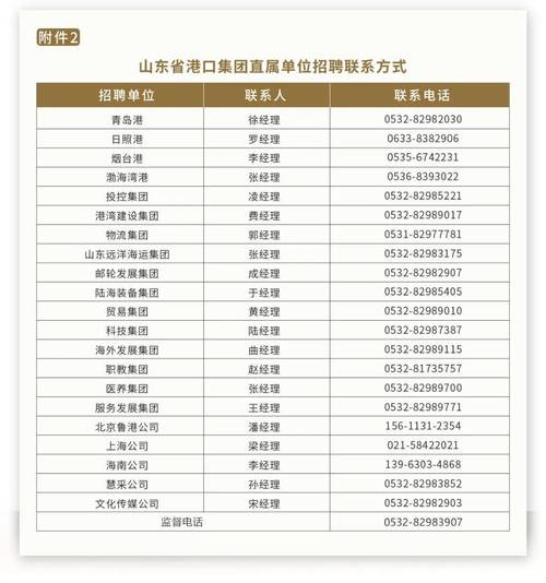 山东省港口集团招聘，日照有岗