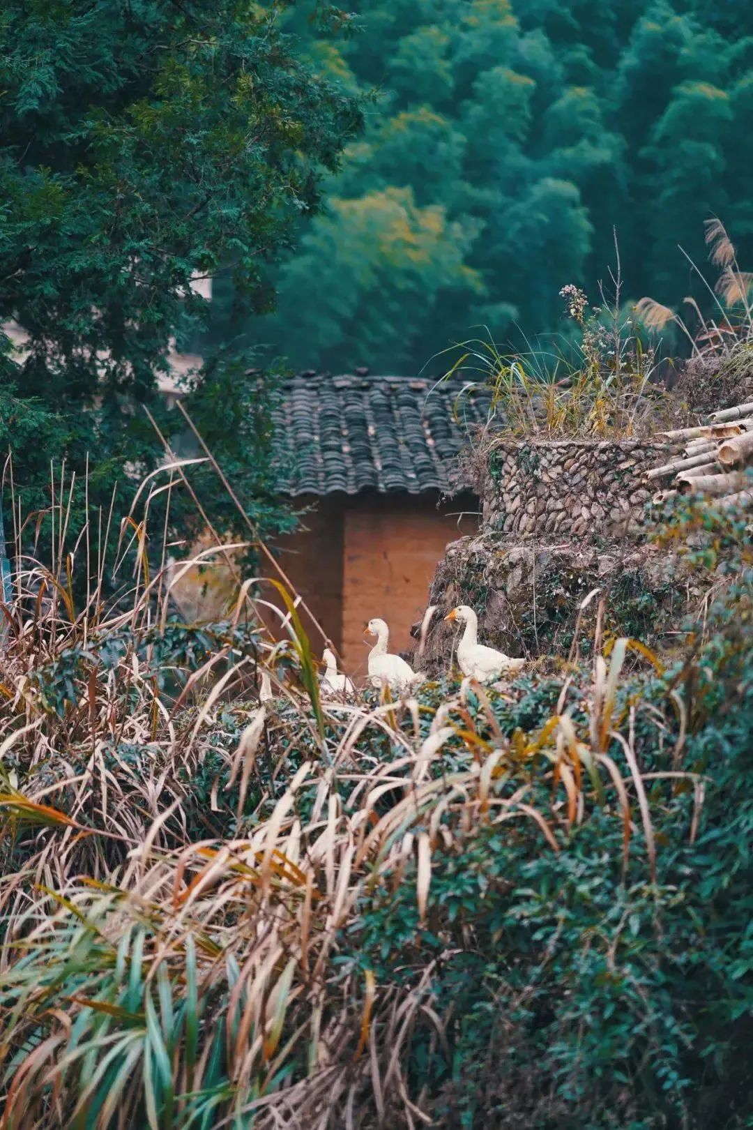 松阳兼职招聘_松阳兼职_松阳兼职网