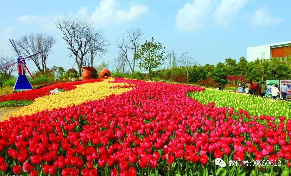 离芜湖近点的旅游景点_离景点芜湖旅游近点还是远点_芜湖就近旅游景点